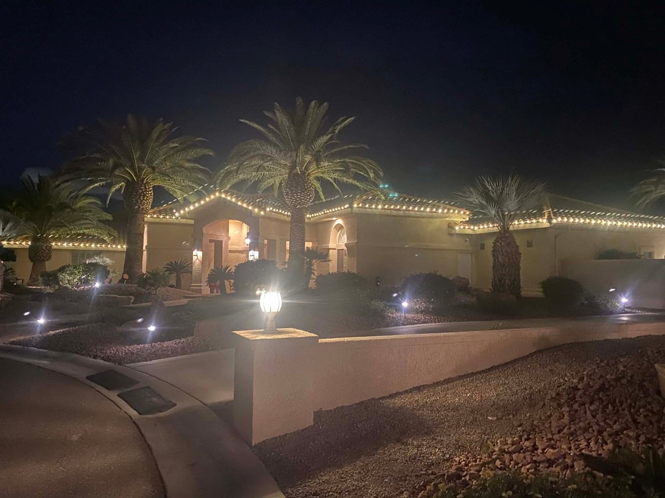 Palm trees and roofline lit for the holidays