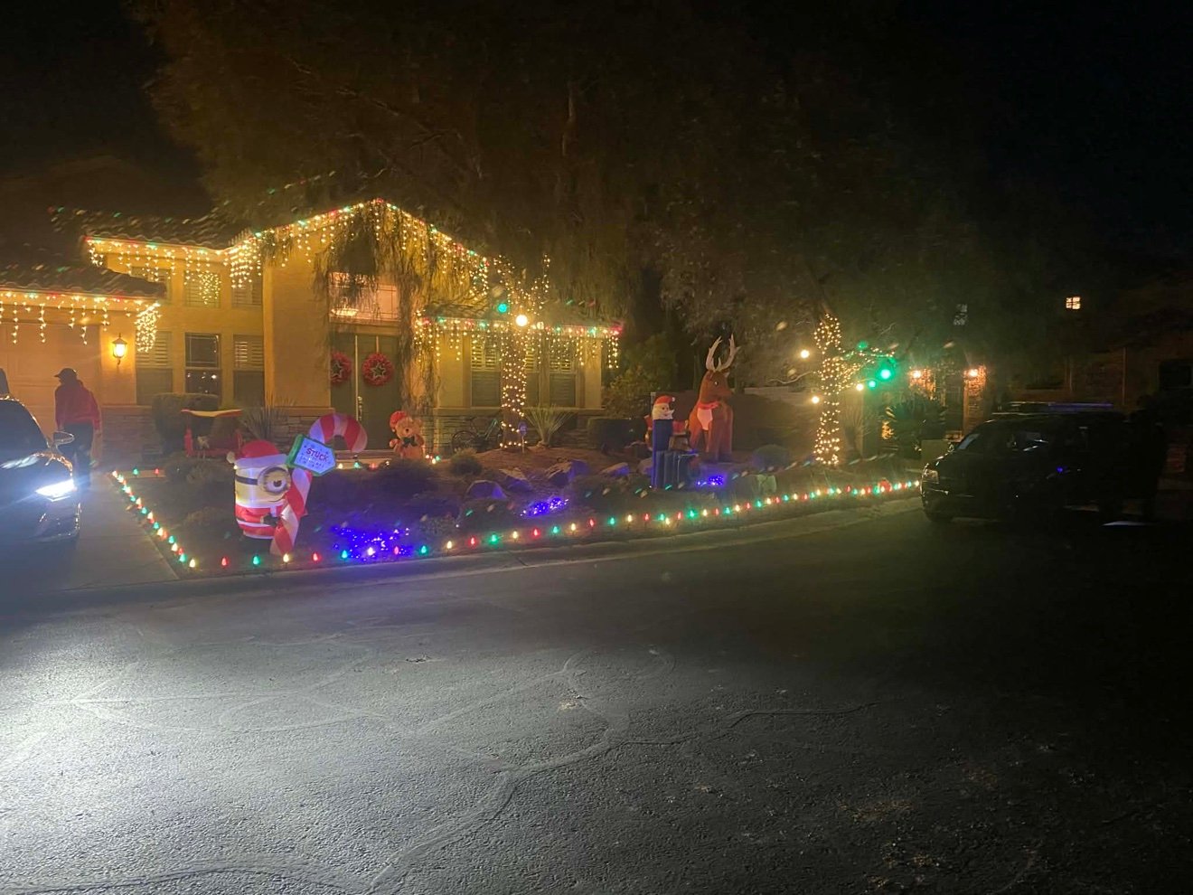 Front yard holiday display at night